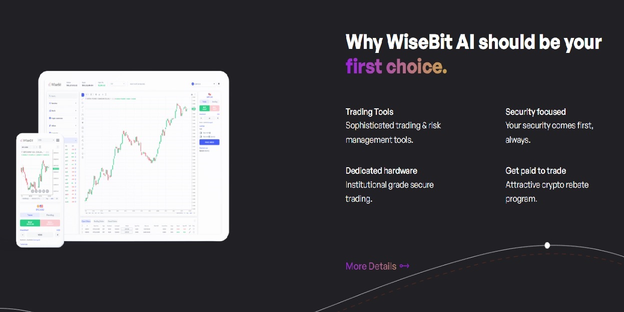 WiseBit Benefits